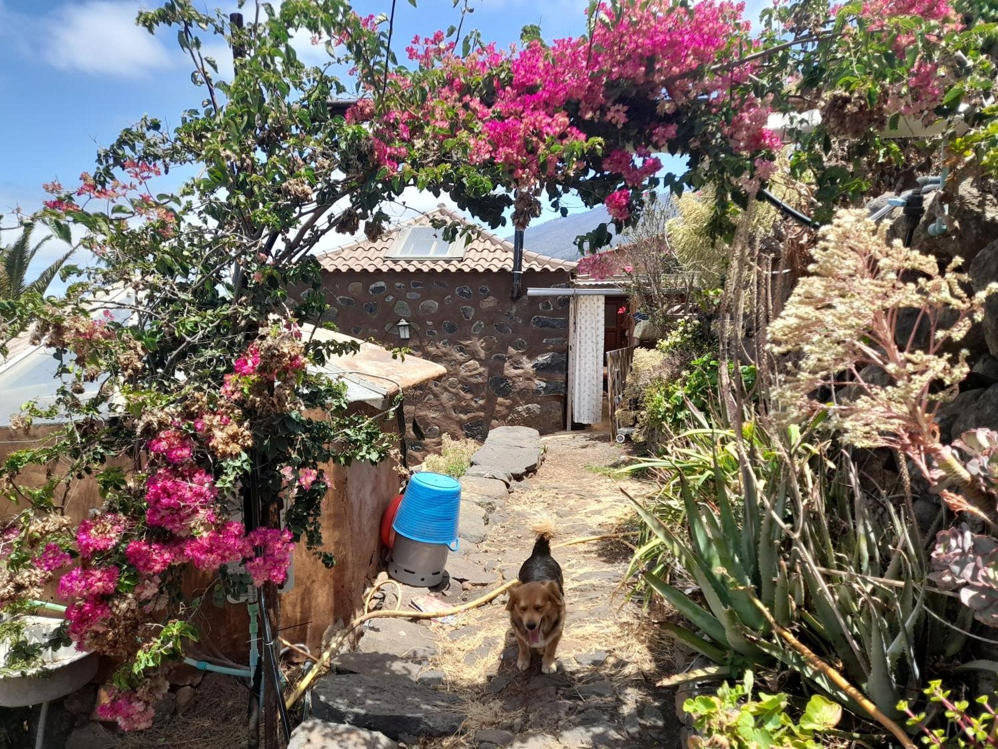 AbraCaRiBes Arecida Exterior foto