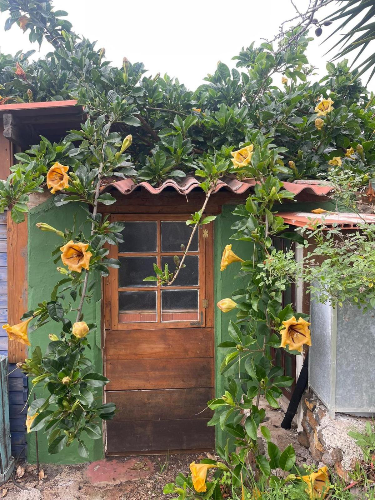 AbraCaRiBes Arecida Exterior foto